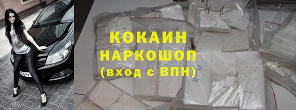 прущие грибы Апатиты