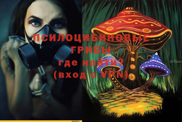 PSILOCYBIN Михайловск