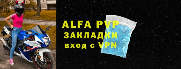 прущие грибы Апатиты