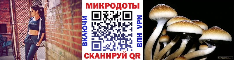 Псилоцибиновые грибы прущие грибы Сенгилей